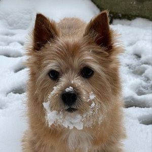 Meet your Posher, Scott